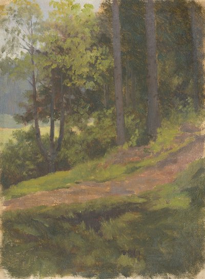 Camino en el Borde del Bosque de Jan Nowopacký