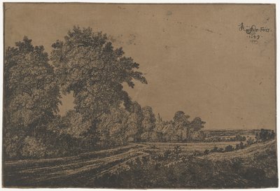 Camino rural con árboles de Jan Ruyscher