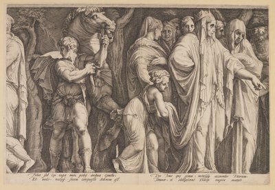 El castigo de Niobe (Lámina 6) de Jan Saenredam