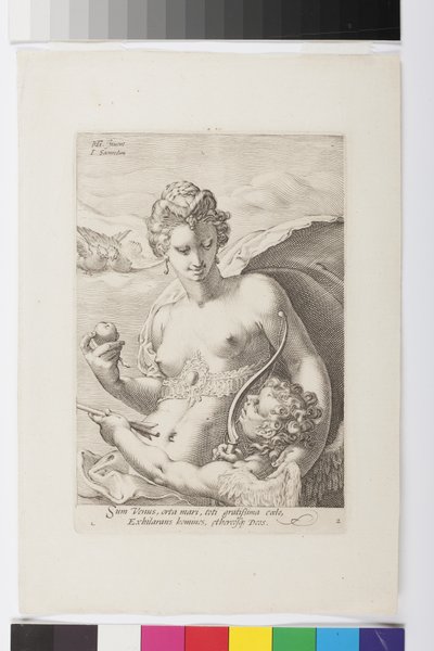 Venus de Jan Saenredam