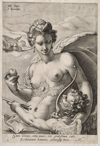 Venus and Cupid de Jan Saenredam