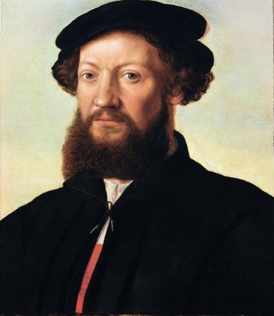 Retrato de un hombre de Jan Sanders van Hemessen