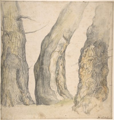Estudio de tres viejos árboles nudosos de Jan Siberechts