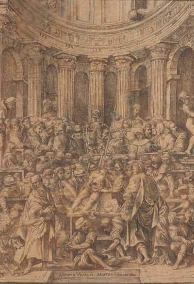  de Jan Stephen Calcar