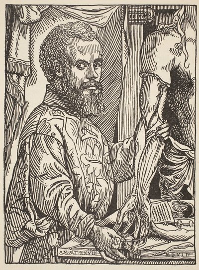 André Vesale, copia de Boris Mestchersky (d.1957), ilustración de Histoire de la Nation Française, Sciences, Volúmenes I y II, por Gabriel Hanotaux (1853-1944), 1924 de Jan Stephen van Calcar