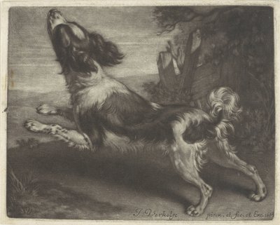 Perro corriendo, posiblemente un spaniel de Jan Verkolje (I)