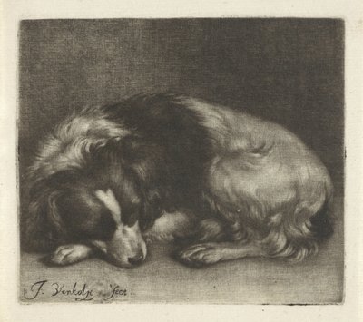 Perro durmiente, posiblemente un spaniel de Jan Verkolje (I)
