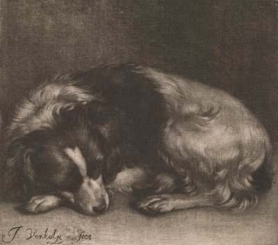 Un perro dormido de Jan Verkolje