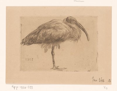 Ibis (título original del objeto) de Jan Veth (signed by artist)