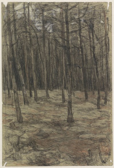Paisaje forestal de Jan Veth
