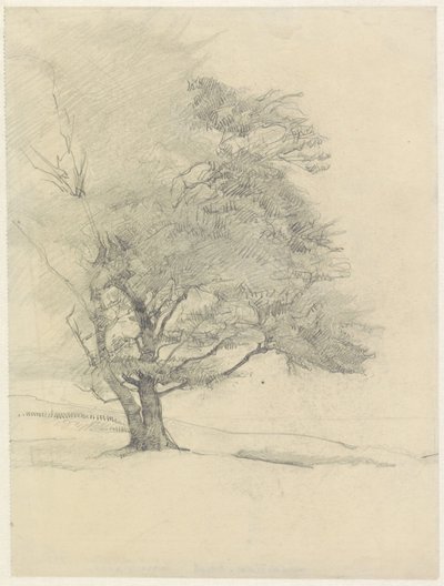  de Jan Veth