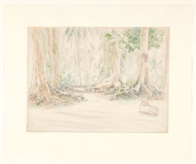 Rostro entre los árboles de un bosque en las Indias Neerlandesas de Jan Veth