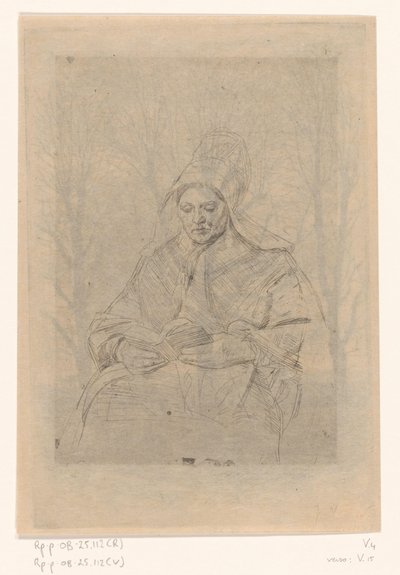Lectura de la mujer campesina de Jan Veth