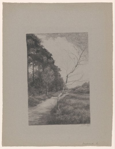  de Jan Veth