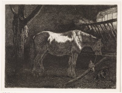 Caballo en el establo de Johannes Martinus Vrolijk