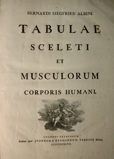 Albinus I, página de título, de 