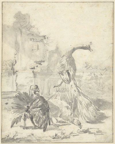 Hoenderhof con un pavo real y dos pavos de Jan Baptist Weenix