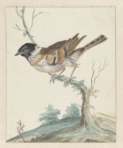 West Gore (?) de Jan Baptist Weenix