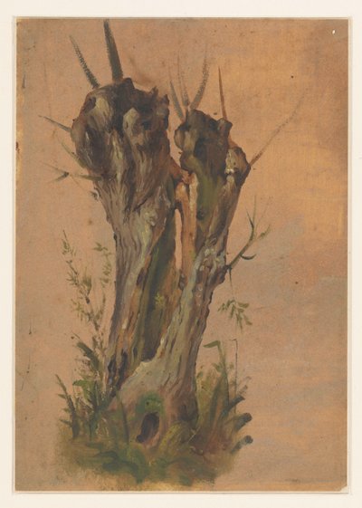 Knotwilg de Jan Weissenbruch