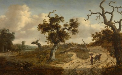  de Jan Wijnants