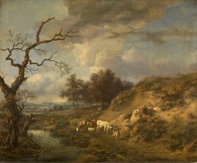  de Jan Wijnants