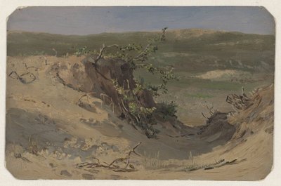 Duinpan de Jan Willem van Borselen