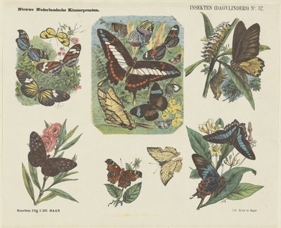 Insectos (mariposas) (título sobre el objeto) Nuevos grabados infantiles holandeses (título de la serie en el objeto) de Jan de Haan