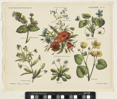 Flores de campo (título en el objeto)
Nuevos grabados infantiles holandeses (título de la serie en el objeto)
Grabados de Funke (título de la serie en el objeto) de Jan de Haan