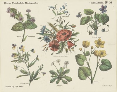 Flores de campo (título en el objeto)
Nuevos grabados infantiles holandeses (título de la serie en el objeto) de Jan de Haan
