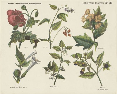 Plantas venenosas (título del objeto)
Nuevos grabados infantiles holandeses (título de la serie en el objeto) de Jan de Haan