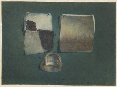 Estudio anatómico de la piel y las uñas humanas de Jan l