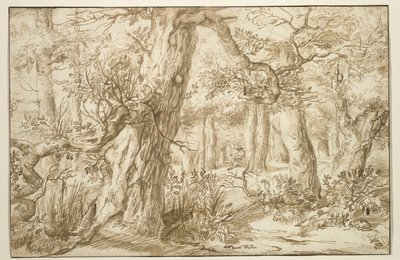 Interior del bosque con dibujante, c.1664 de Jan the Elder Lievens
