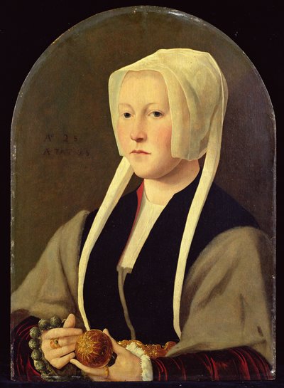 Retrato de una dama de Jan van (attr. to) Scorel