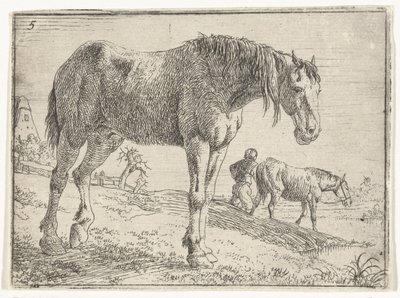Caballo de pie
Paisajes con caballos (título de la serie) de Jan van Aken