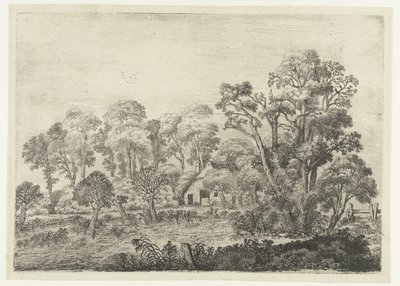 Paisaje con una granja junto a un estanque. Paisajes (título de la serie) de Jan van Brosterhuyzen
