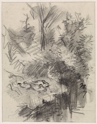 Patos, durmiendo entre los arbustos a la orilla del agua de Jan van Essen
