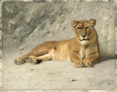 Leona descansando de Jan van Essen