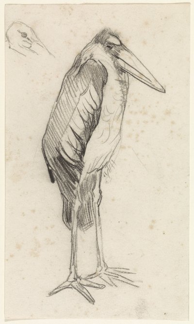 Maraboe de Jan van Essen