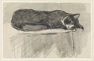 Gato dormido de Jan van Essen