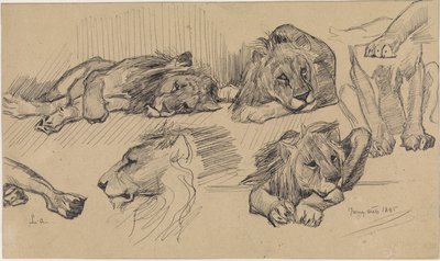 Hoja de estudio con leones de Jan van Essen