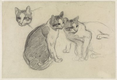 Hoja de estudio con gatos de Jan van Essen