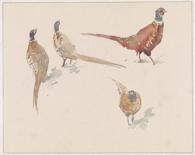 Cuatro faisanes de Jan van Essen