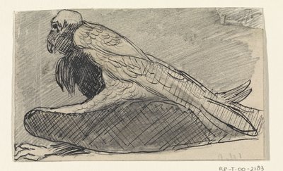 Buitre sentado de Jan van Essen