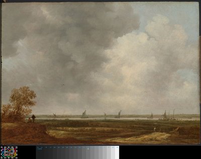 Vista panorámica de un río con praderas bajas de Jan van Goyen