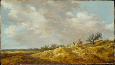  de Jan van Goyen