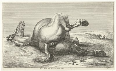 caballo caído Caballos muertos (título de la serie) de Jan van Huchtenburg