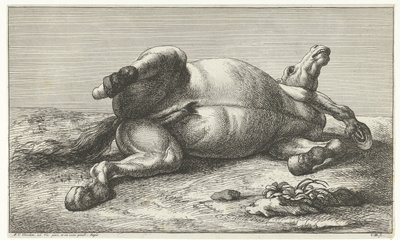 Caballo muerto acostado sobre su lado izquierdo Caballos muertos (título de la serie) de Jan van Huchtenburg