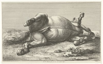 Caballo muerto acostado sobre su lado izquierdo Caballos muertos (título de la serie) de Jan van Huchtenburg