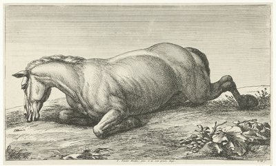 Caballo muerto acostado sobre su vientre Caballos muertos (título de la serie) de Jan van Huchtenburg