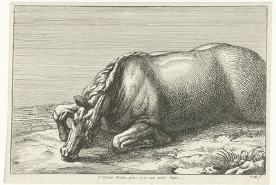 Caballo muerto visto en el lado izquierdo Caballos muertos (título de la serie) de Jan van Huchtenburg